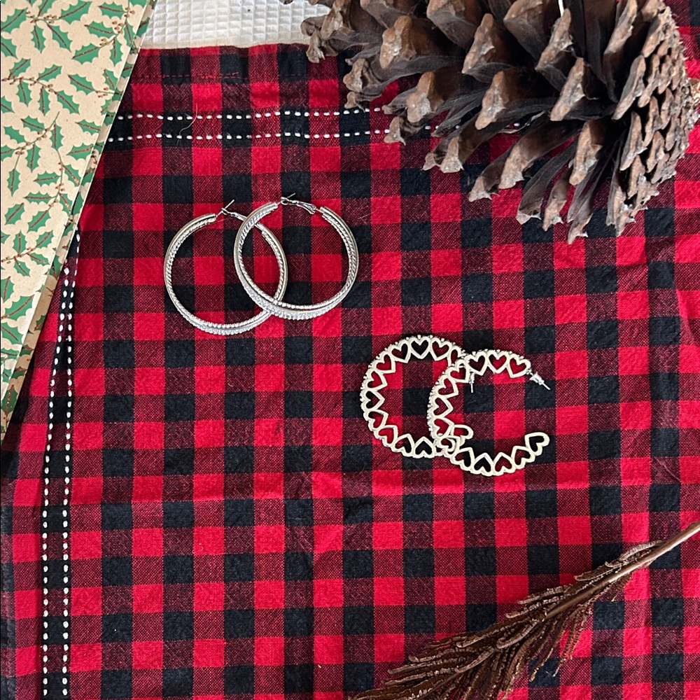 Elegant Silver Hoop Earrings 2 Pair